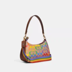 Coach Teri Shoulder Bag In Rainbow Signature Canvas
