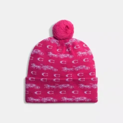 Coach Bold Horse And Carriage Print Beanie