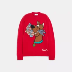 Coach | Scooby Doo! Crewneck Sweater