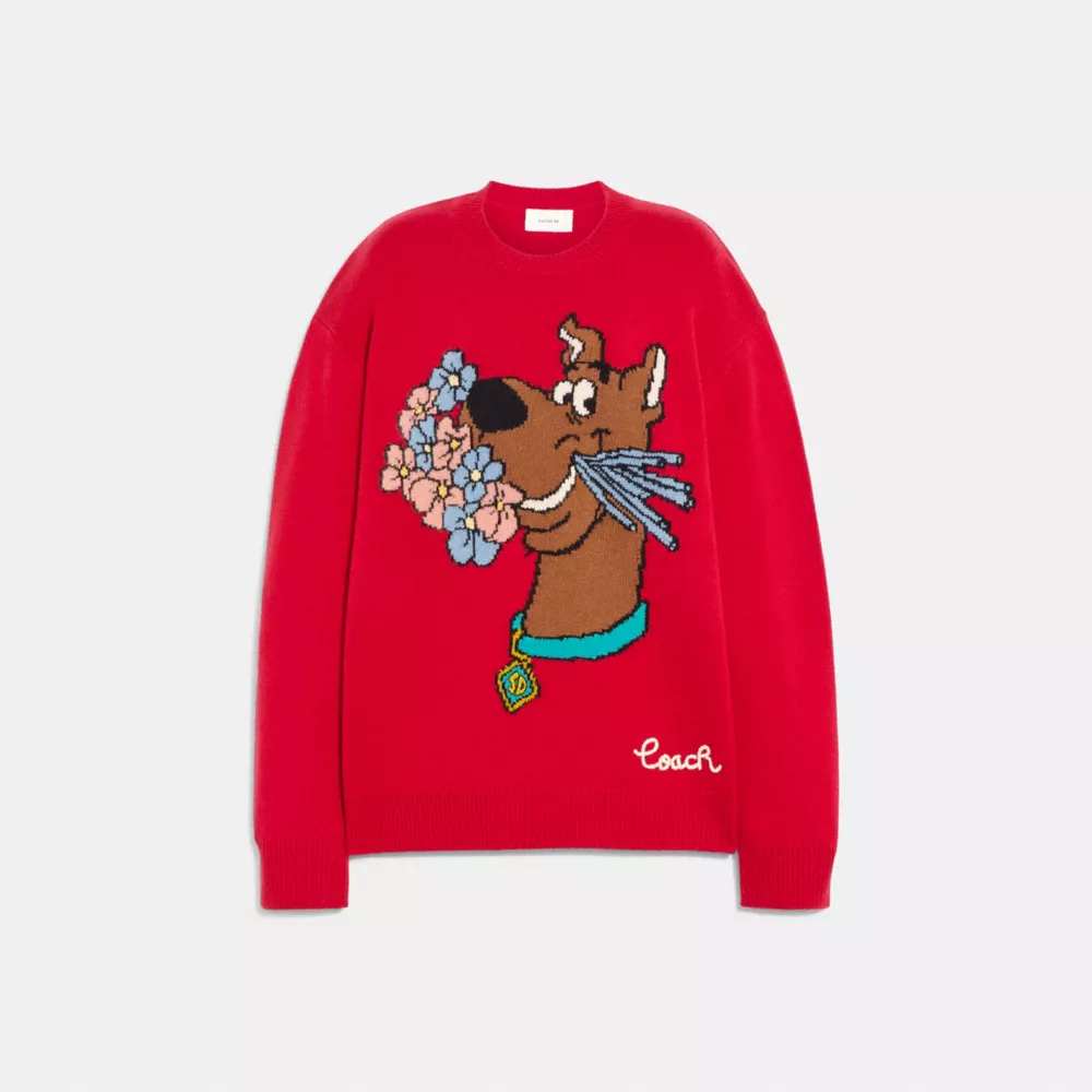 Coach | Scooby Doo! Crewneck Sweater