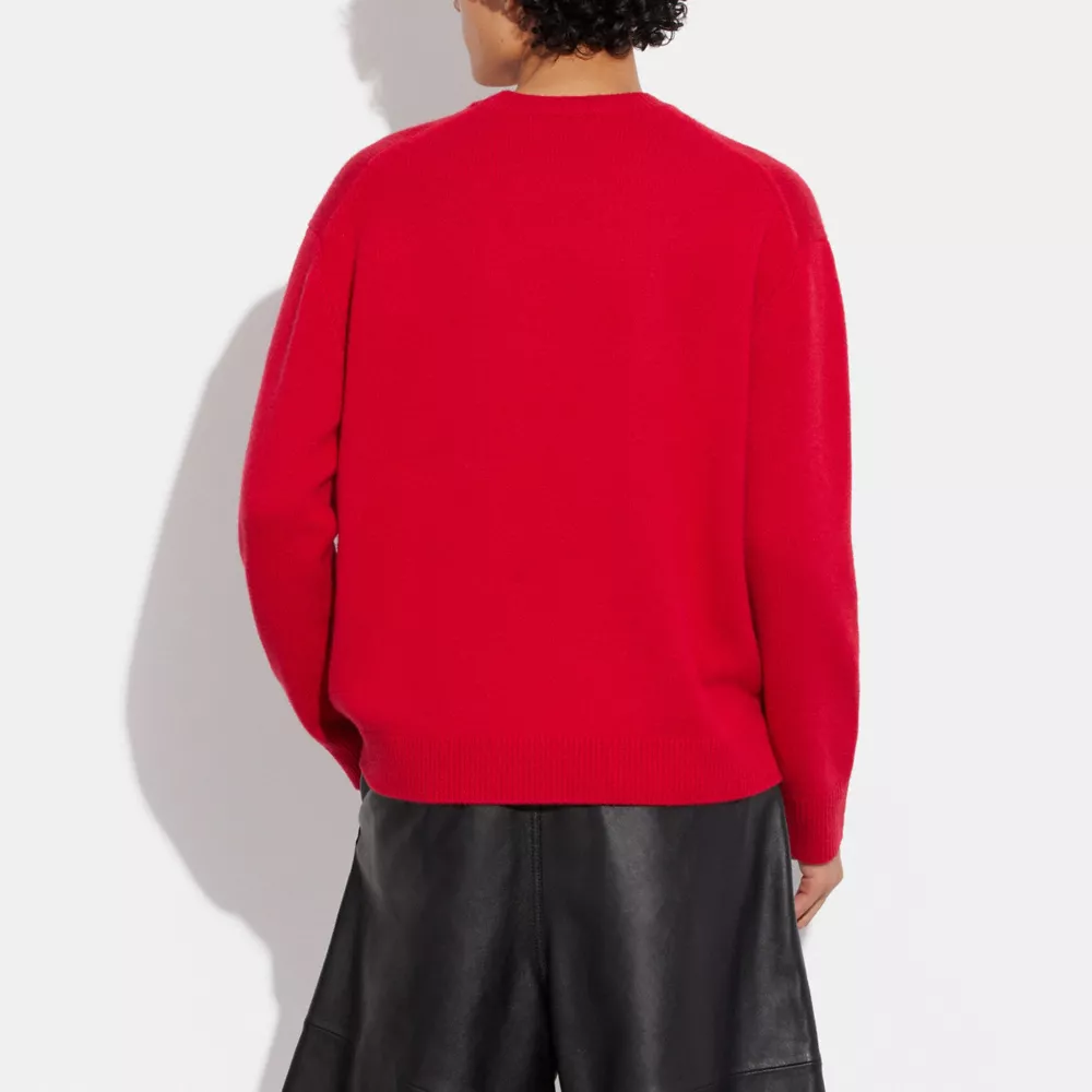 Coach | Scooby Doo! Crewneck Sweater - Image 5