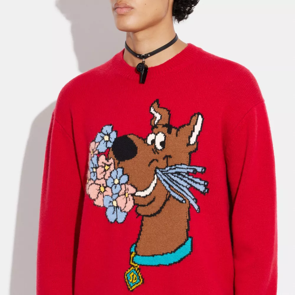 Coach | Scooby Doo! Crewneck Sweater - Image 3