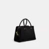 Coach Darcie Carryall