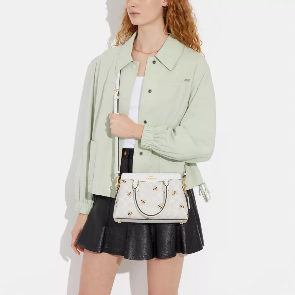 Coach Mini Darcie Carryall In Signature Canvas With Bee Print