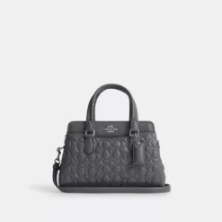 Coach Mini Darcie Carryall With Signature