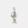 Coach Rainbow Bear Cluster Bag Charm